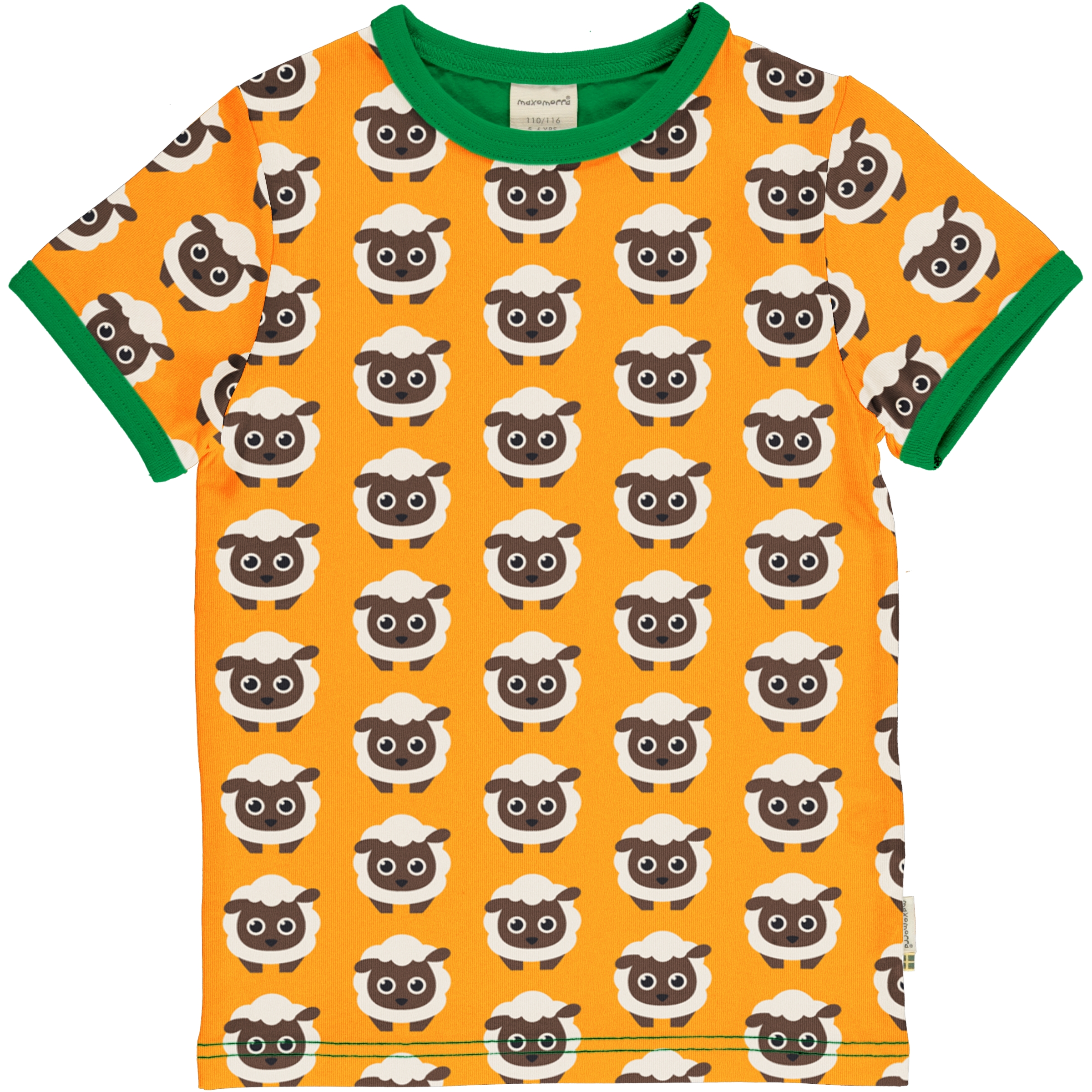 Top SS-A CLASSIC SHEEP