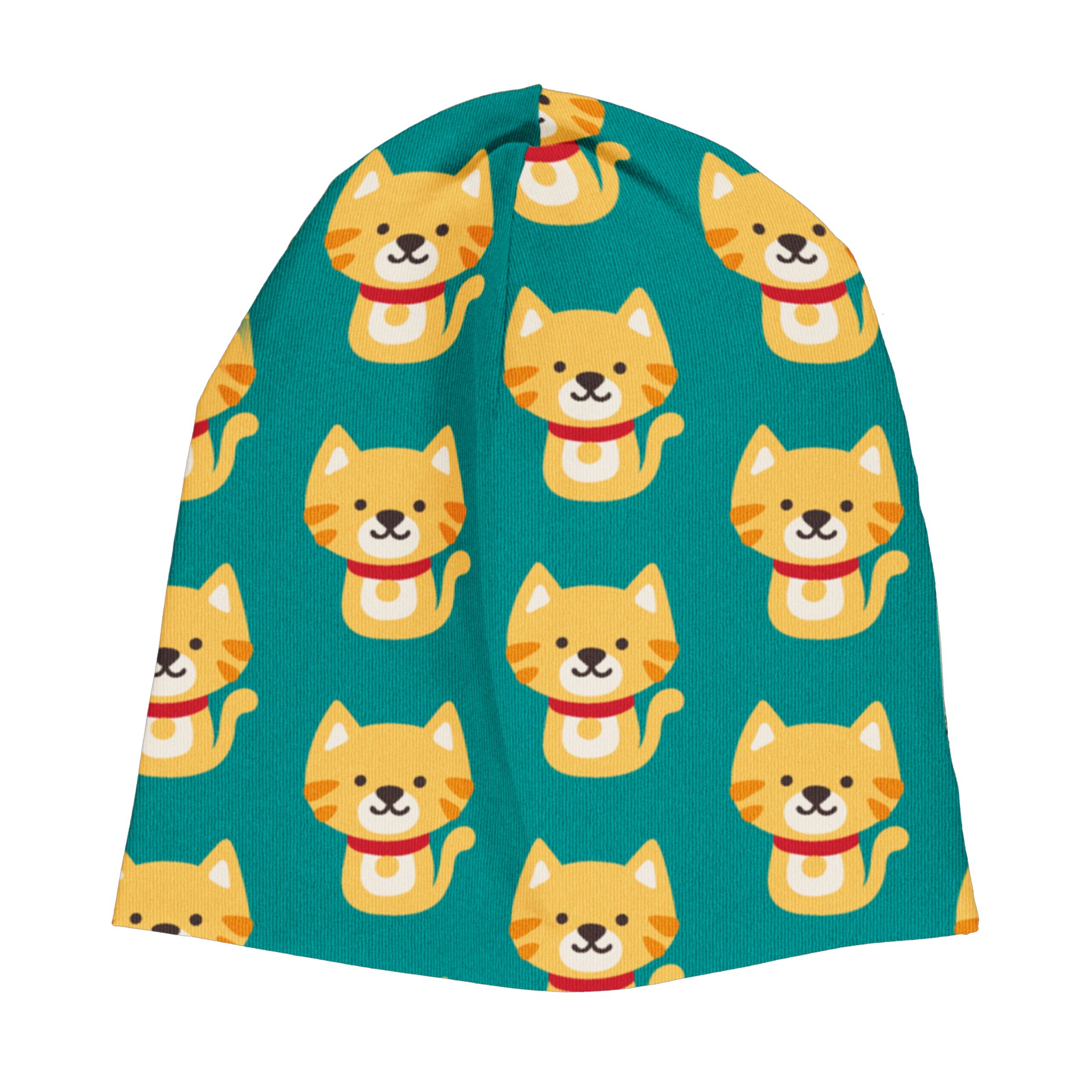 HAT CAT_JPG