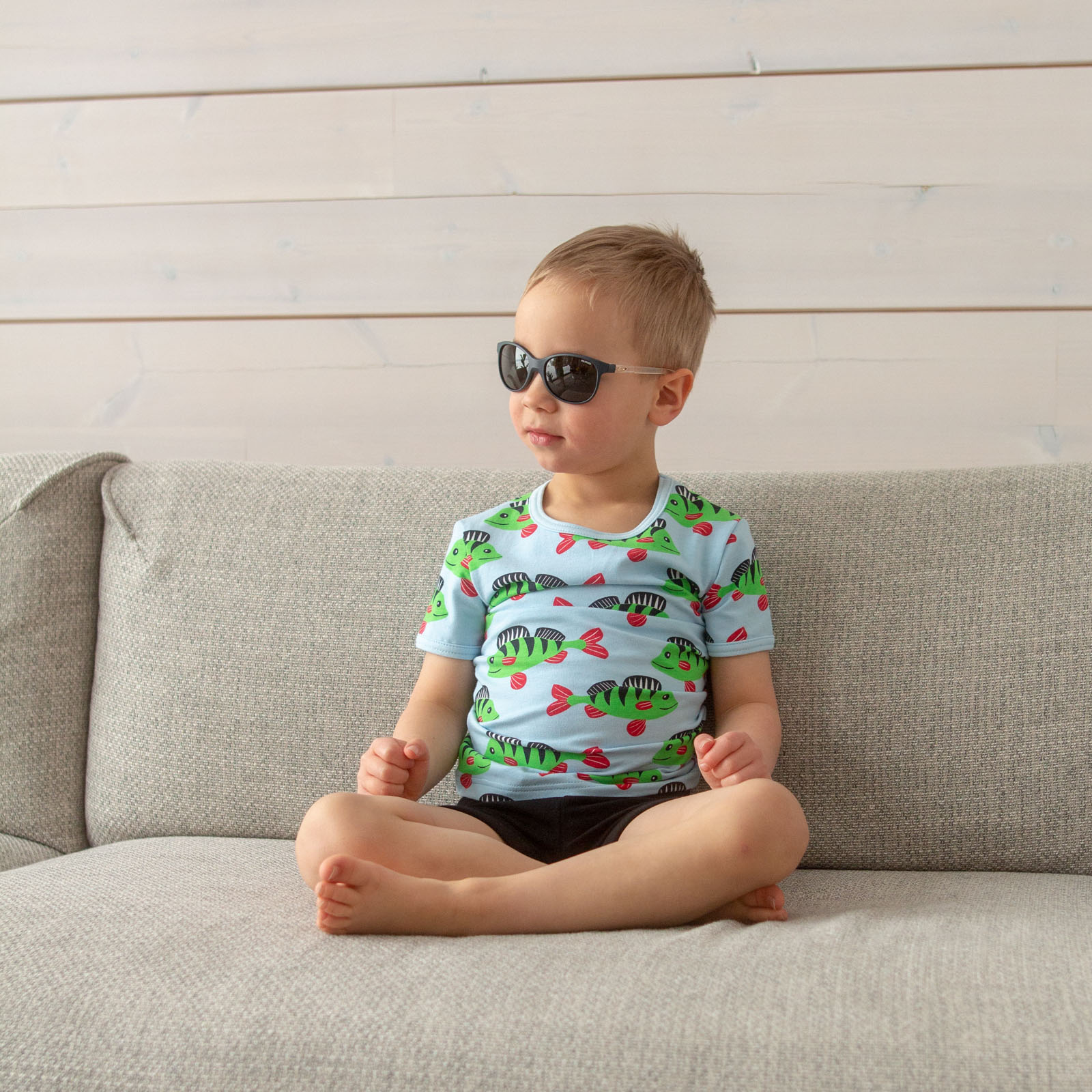 Visa_perch_light blue-green_Visa_ahven_vaaleansininen-vihreä3