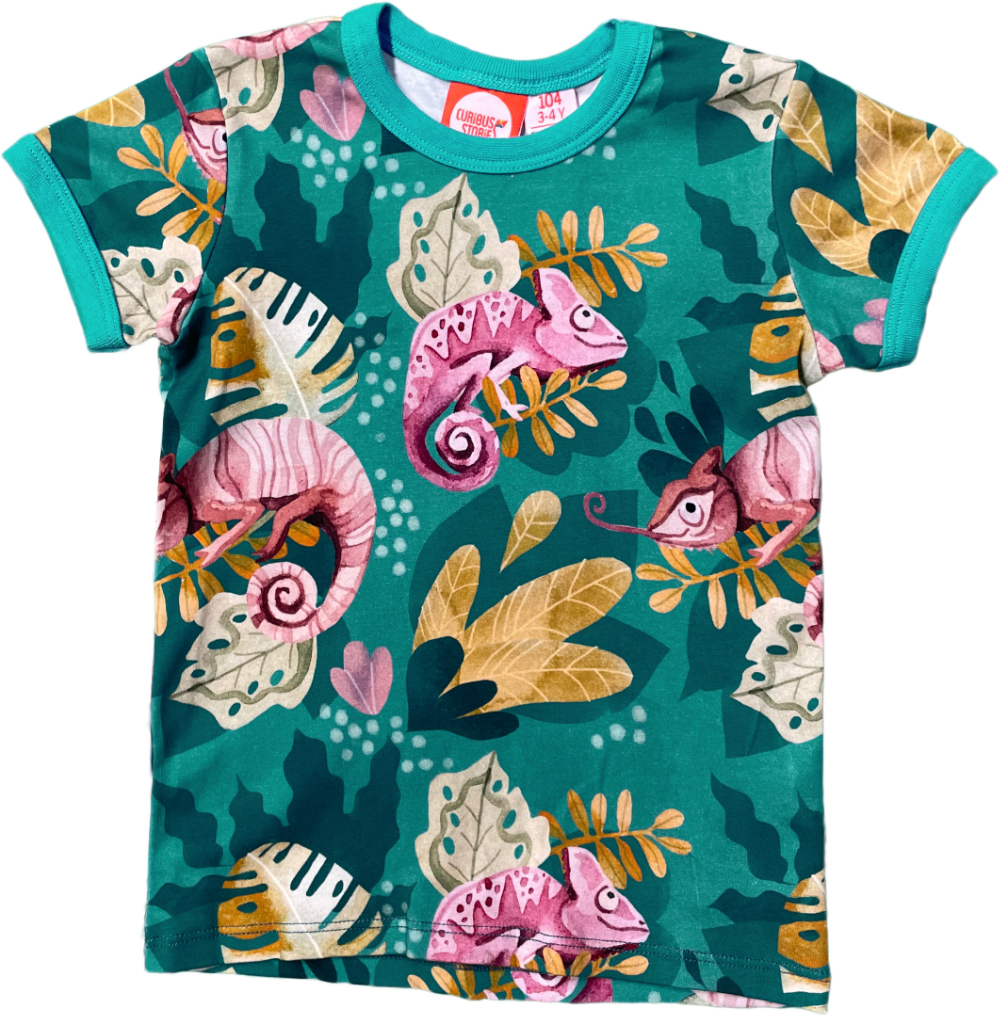 Curious Stories Chameleon T-Shirt